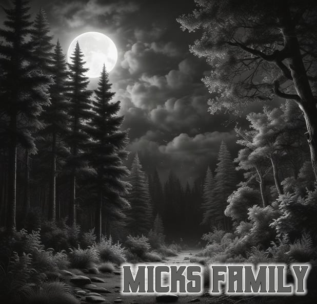 Micks Family Mini Story